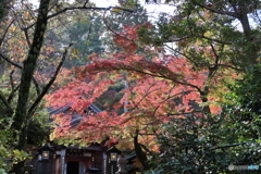 高幡不動尊