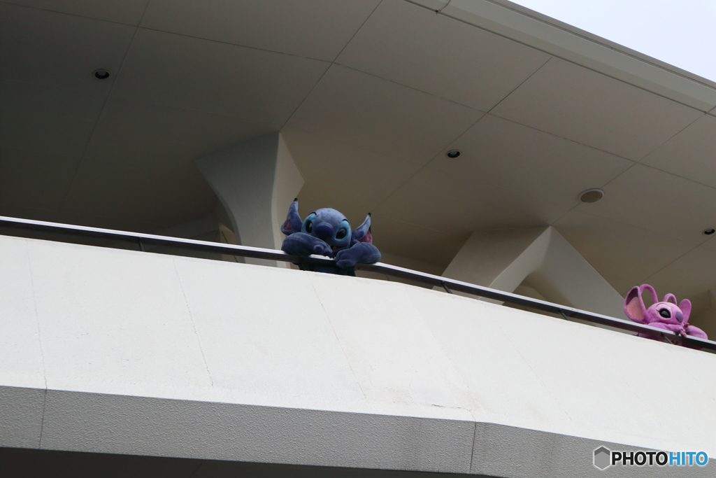 ディズニー