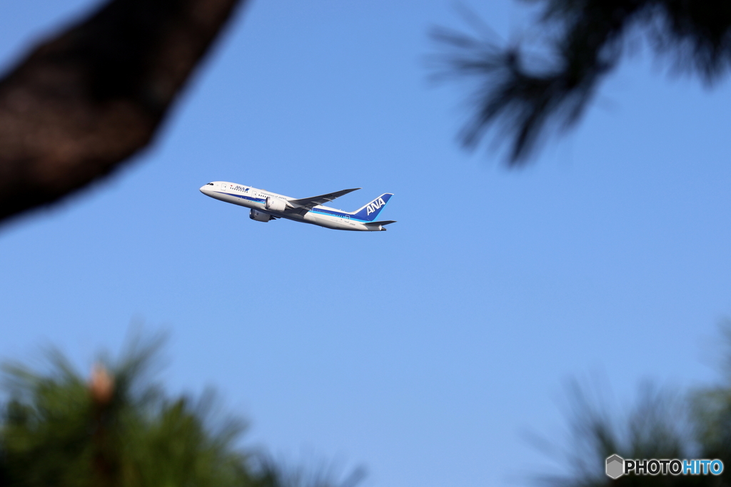 羽田空港