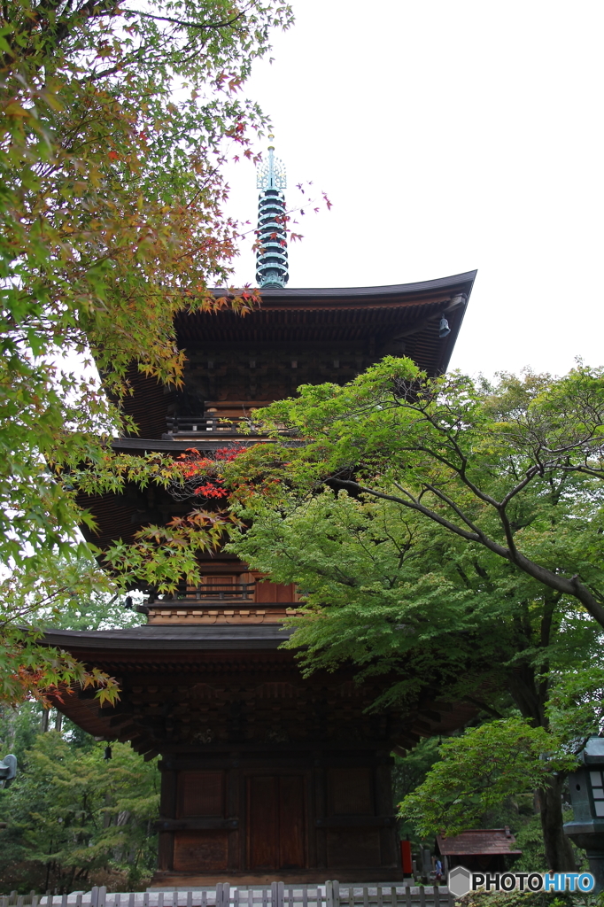 豪徳寺