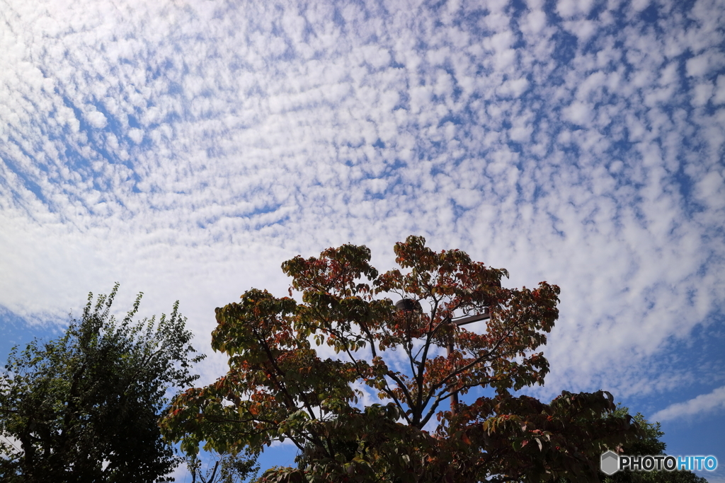 空