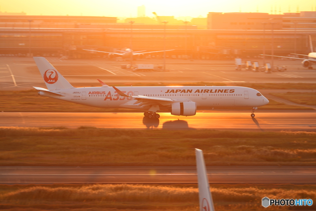羽田空港