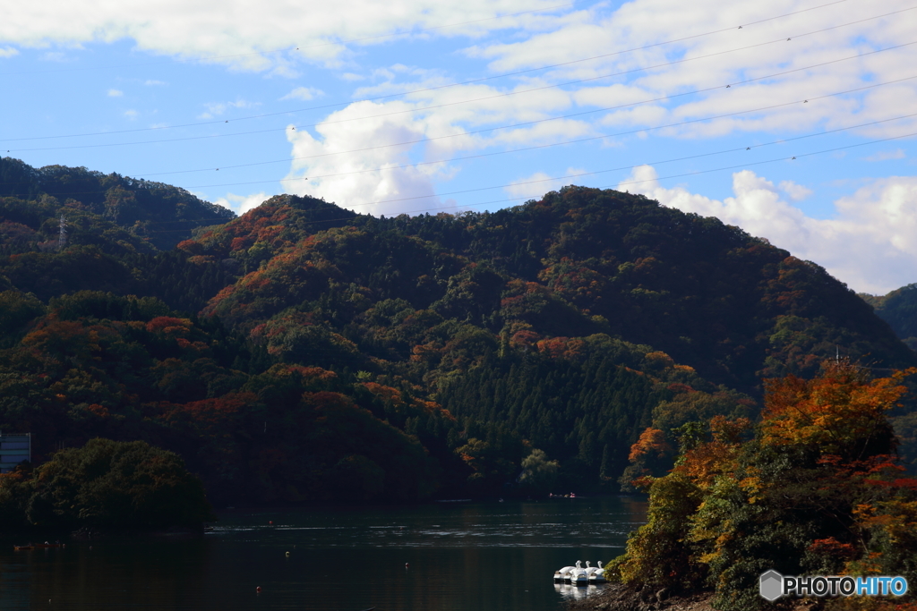 紅葉