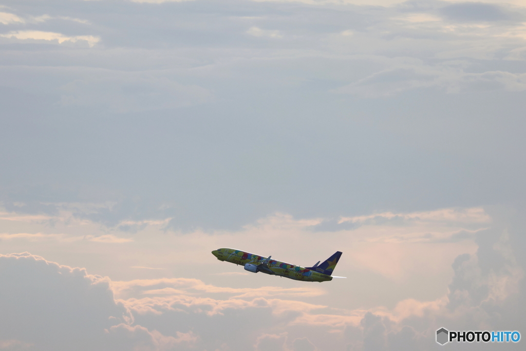 羽田空港