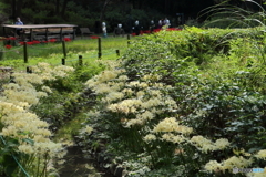 郷土の森