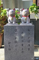 今戸神社