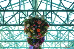 TDL