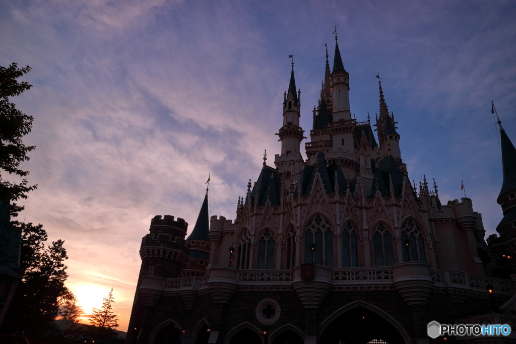 TDL