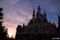 TDL