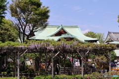 亀戸天神