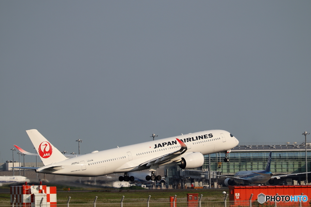 羽田空港