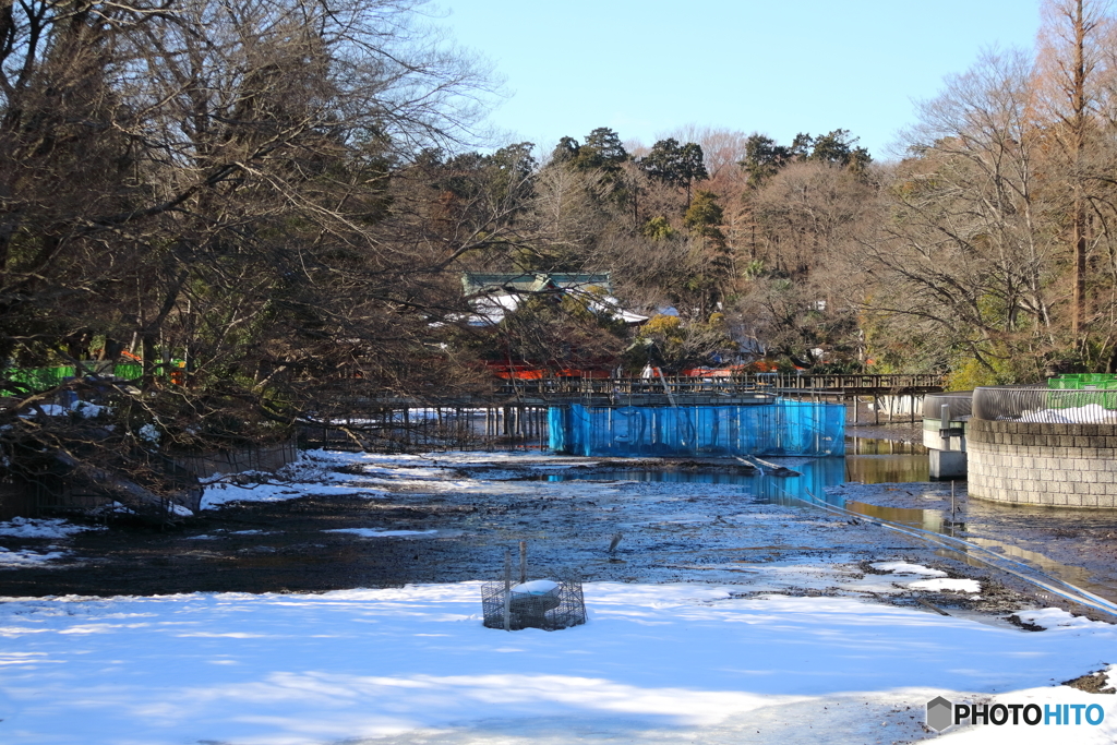 井の頭公園