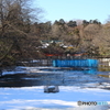 井の頭公園