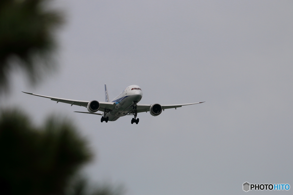 旅客機