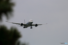 旅客機