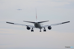 羽田空港