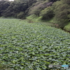 街並み