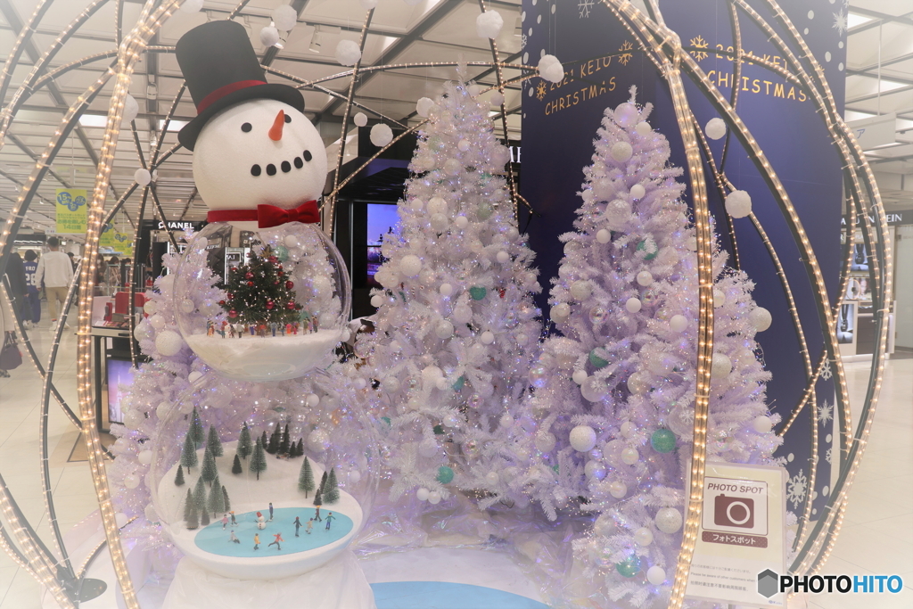 クリスマスツリー