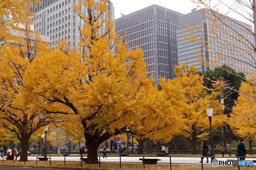 紅葉