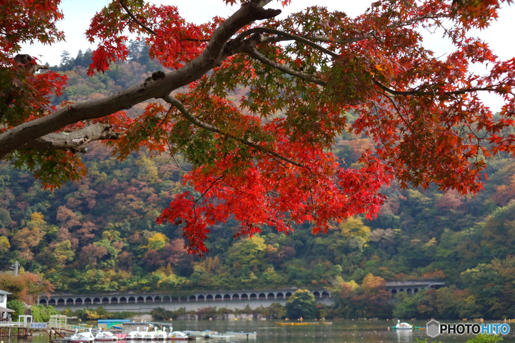 風景