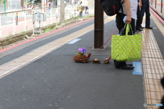 千葉の奇妙なオジさん(^^)