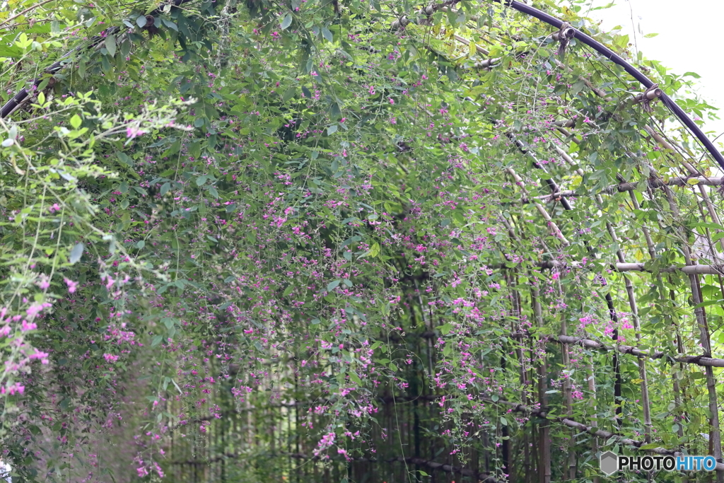 郷土の森