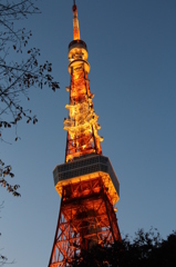 東京タワー