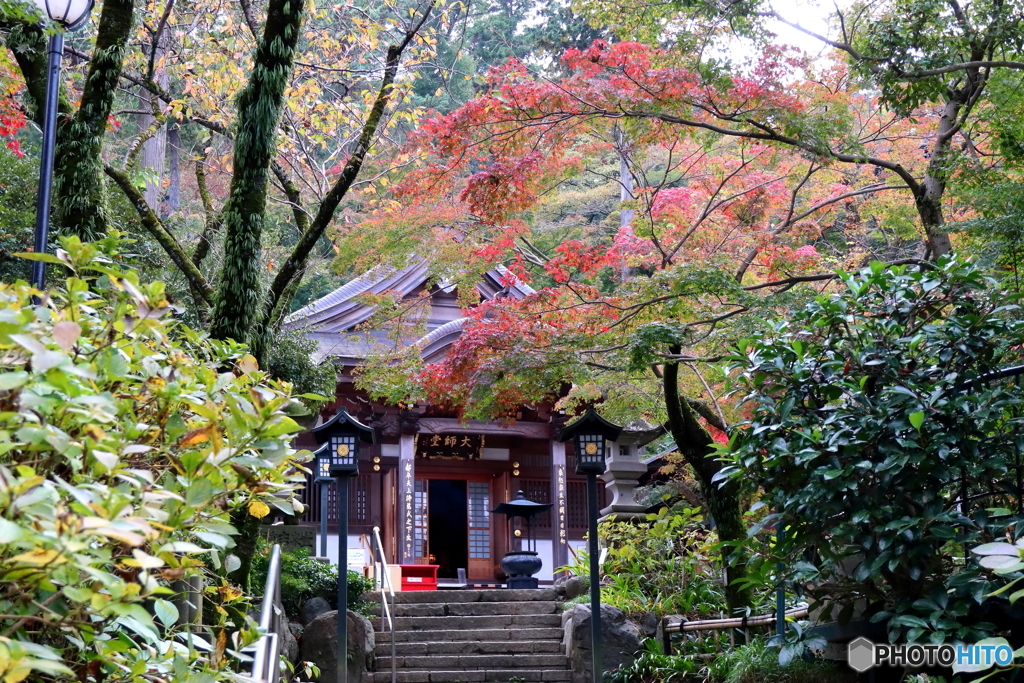 紅葉