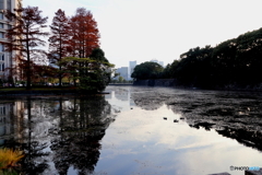 街並み