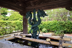 鎌倉散策
