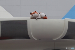 ディズニー