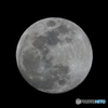 今夜のお月様