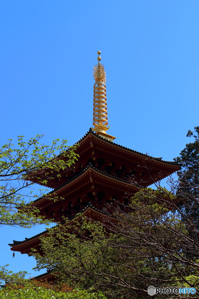 高幡不動