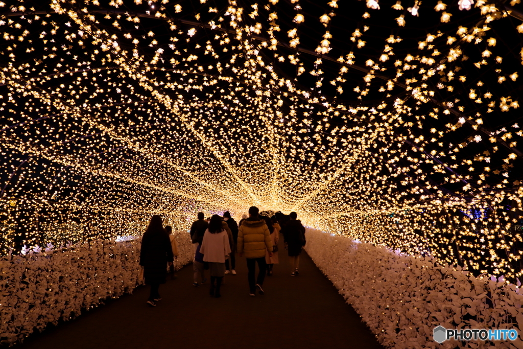 東京メガイルミ