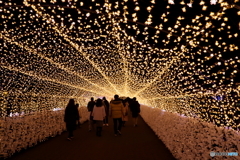東京メガイルミ