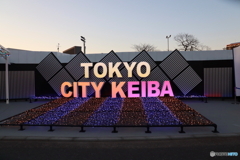 東京メガイルミ