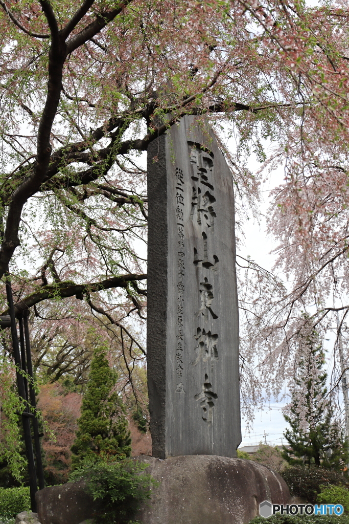 東郷寺