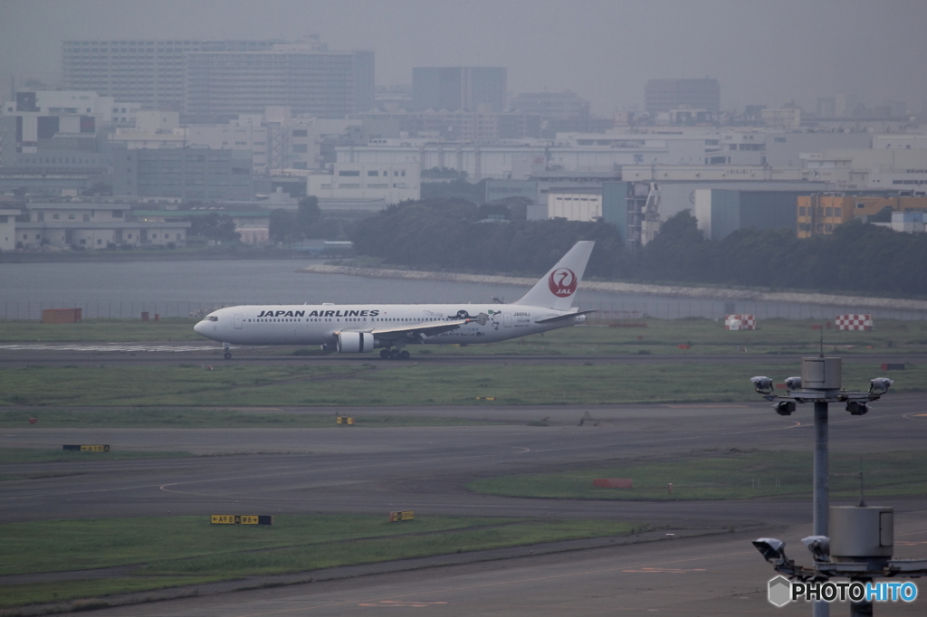 ラッピング機