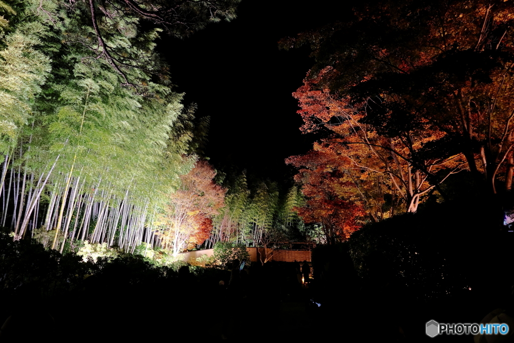 昭和記念公園 