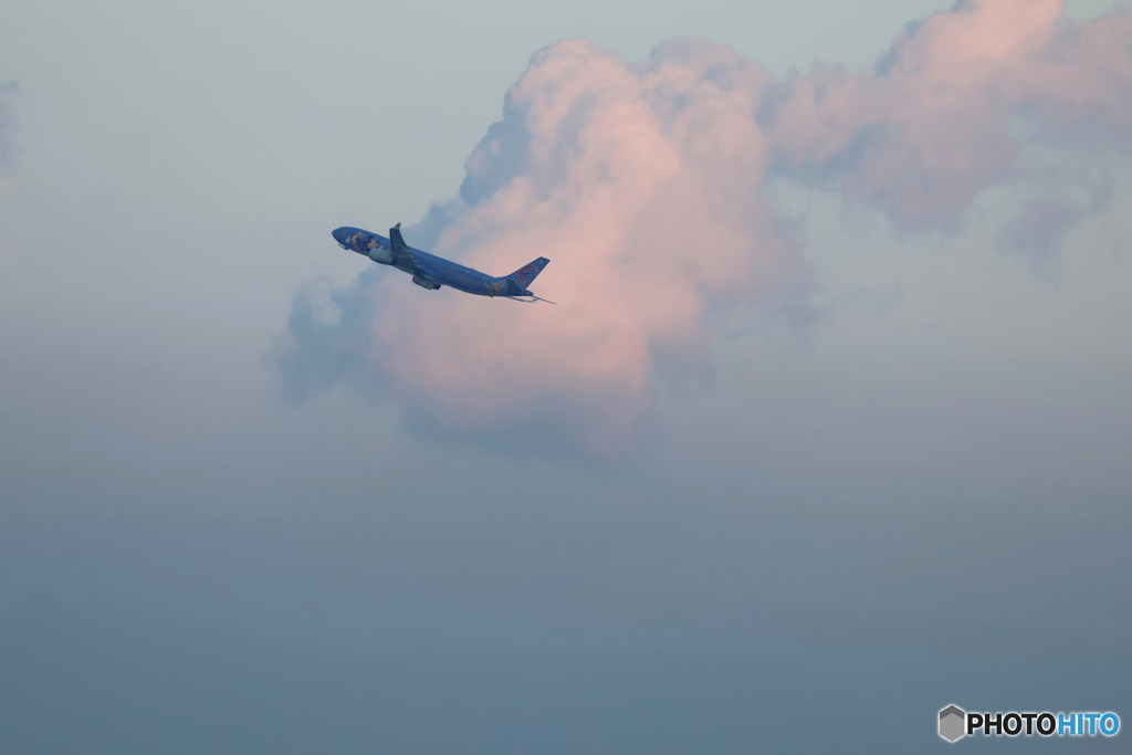 羽田空港