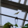 多摩動物公園