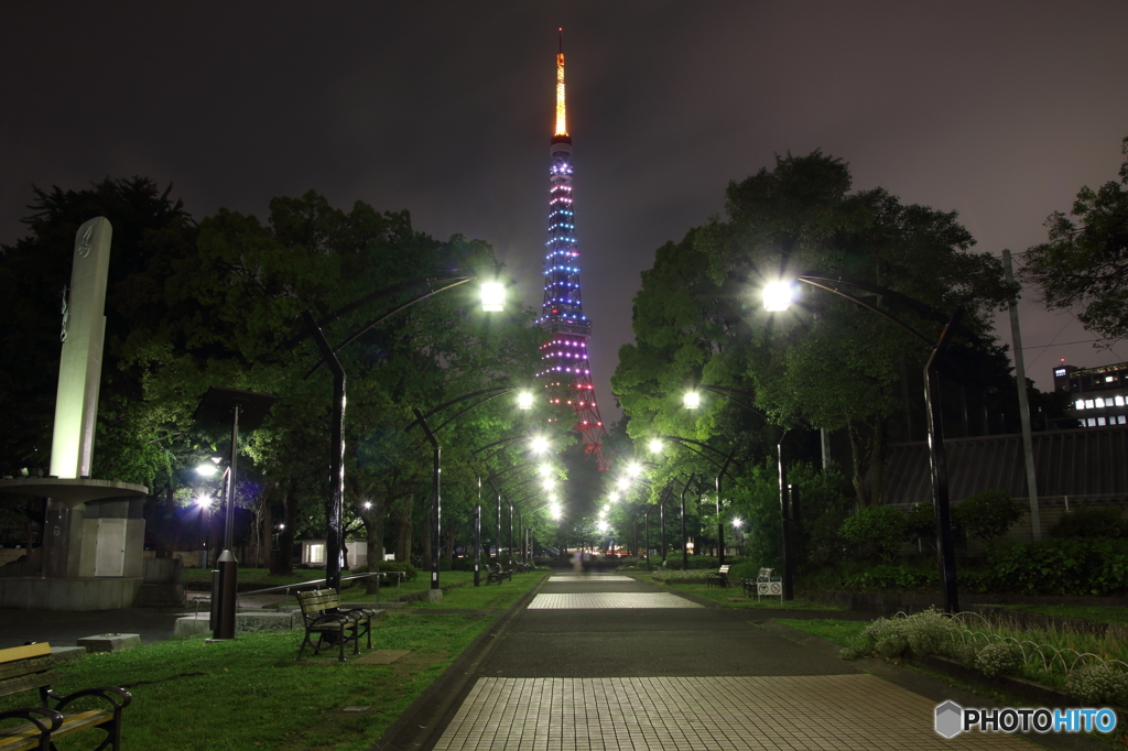 東京タワー 