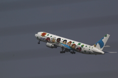  旅客機