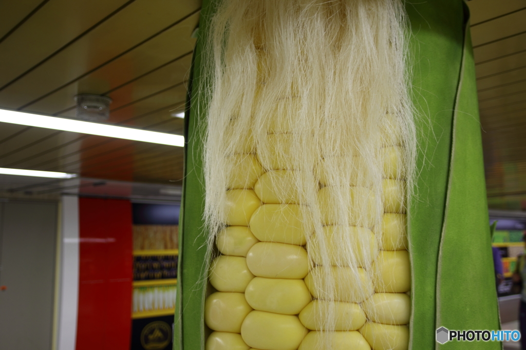 野菜の柱