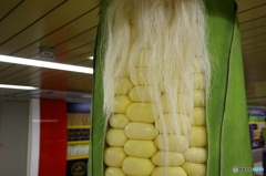 野菜の柱