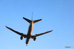 羽田空港