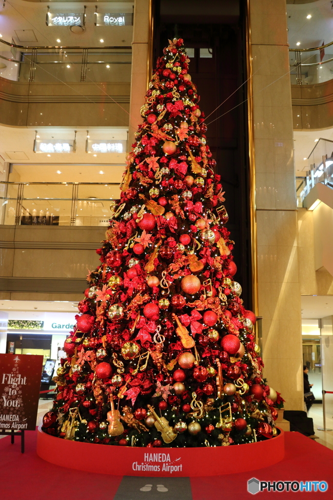 クリスマスツリー