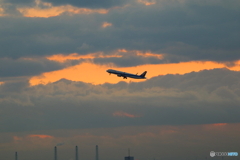 羽田空港