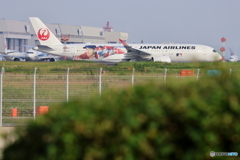 羽田空港