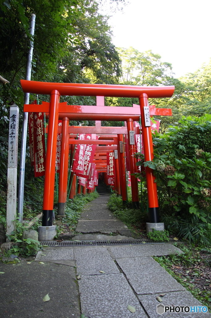 佐助稲荷神社の鳥居